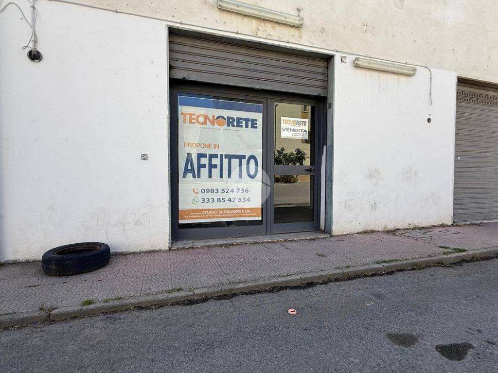 immagine annuncio 12 di 14