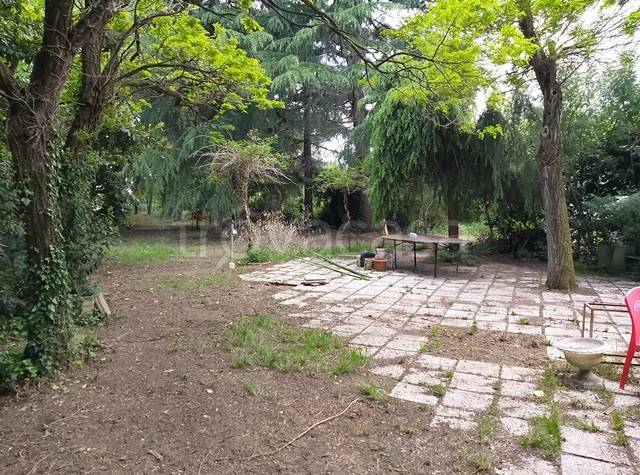 immagine annuncio 3 di 7