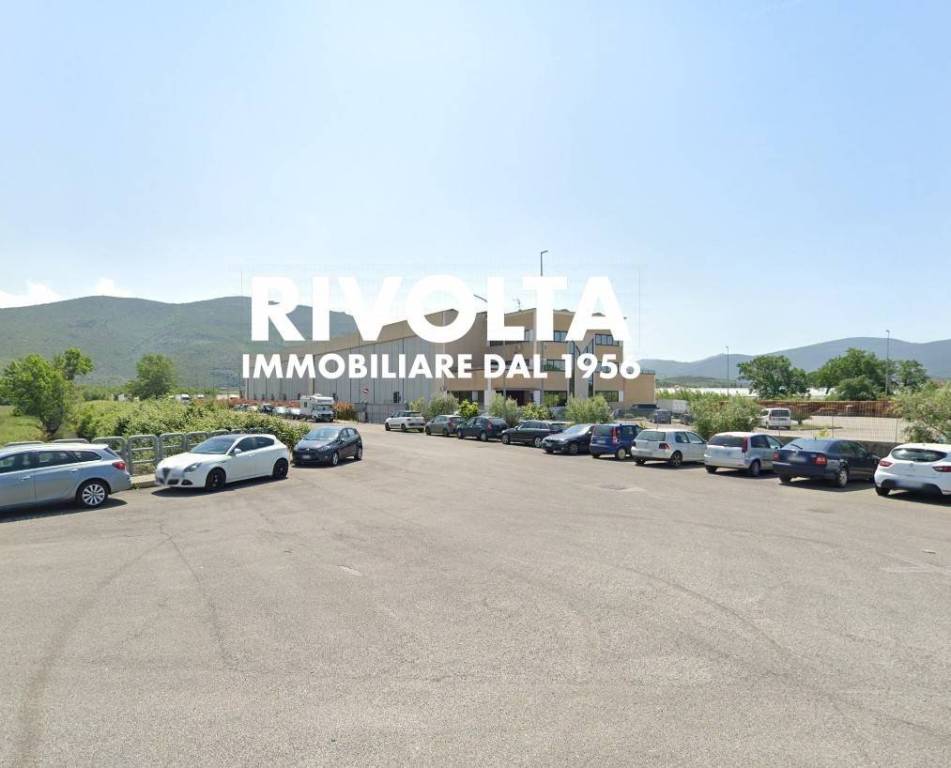immagine annuncio 2 di 6