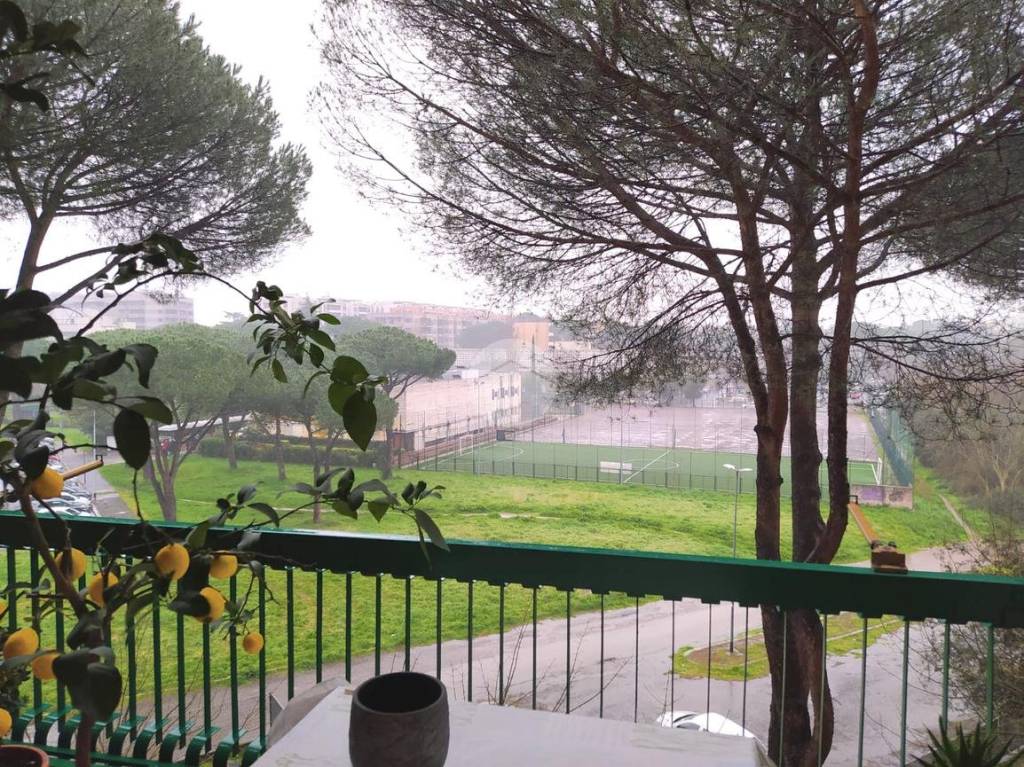 immagine annuncio 6 di 13