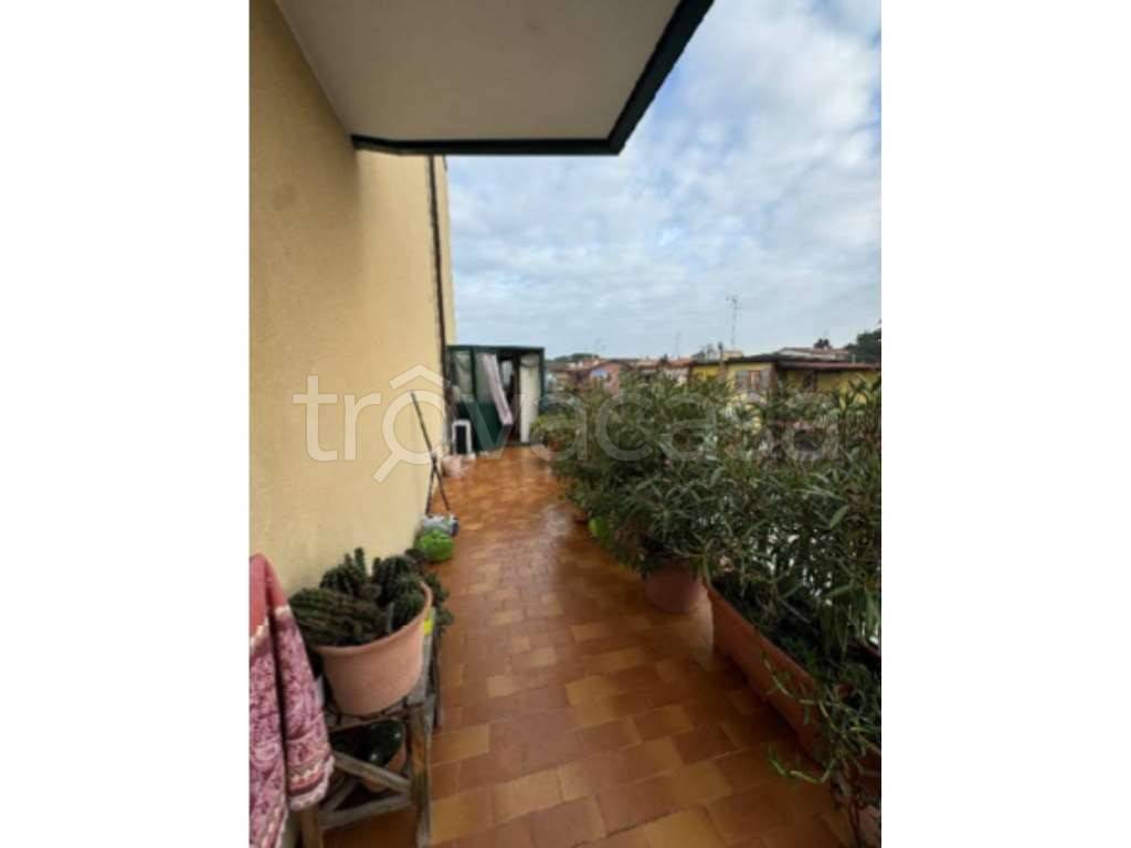 immagine annuncio 8 di 14