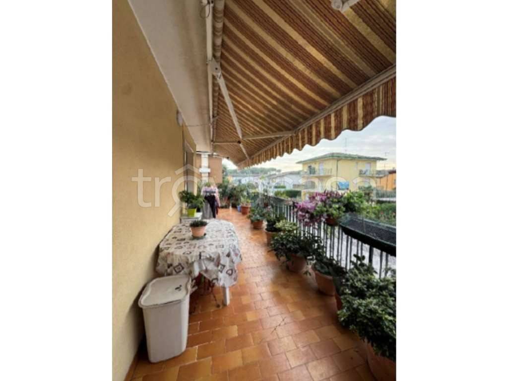 immagine annuncio 9 di 14