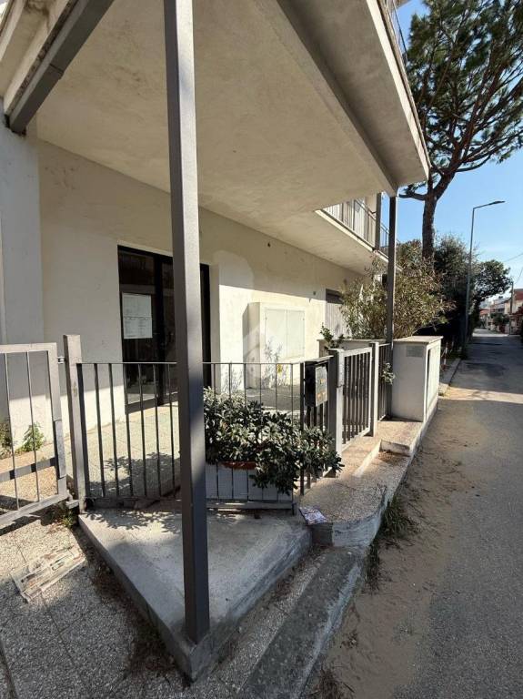 immagine annuncio 10 di 14