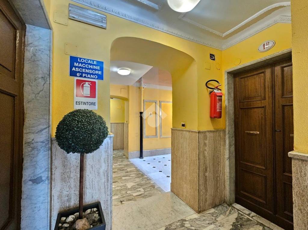 immagine annuncio 7 di 12
