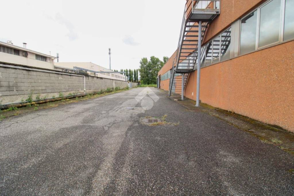 immagine annuncio 7 di 15