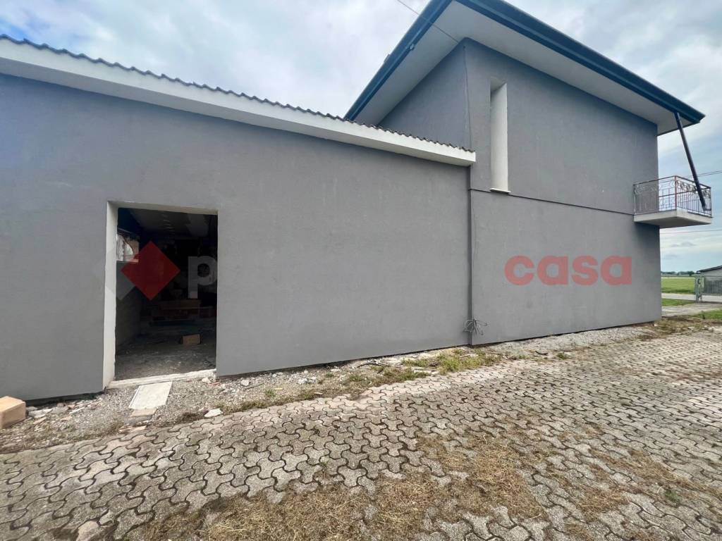 immagine annuncio 3 di 6