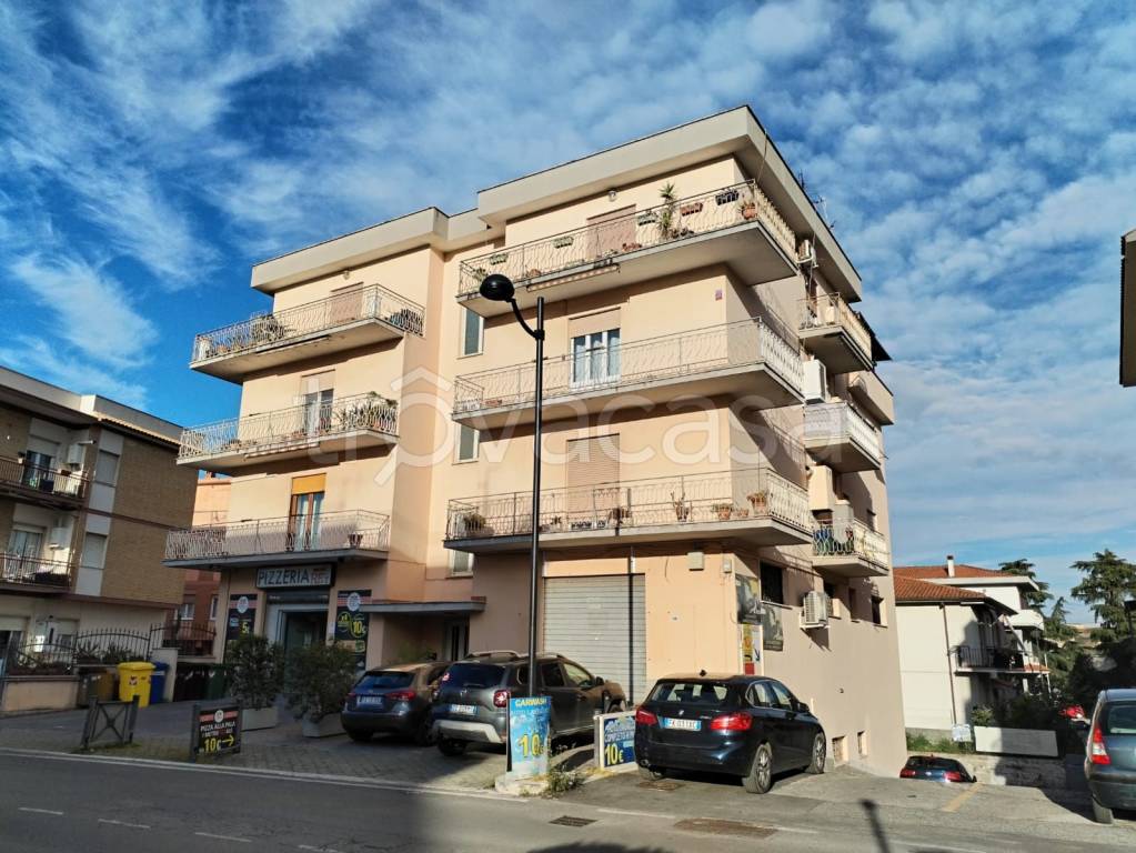 immagine annuncio 12 di 13