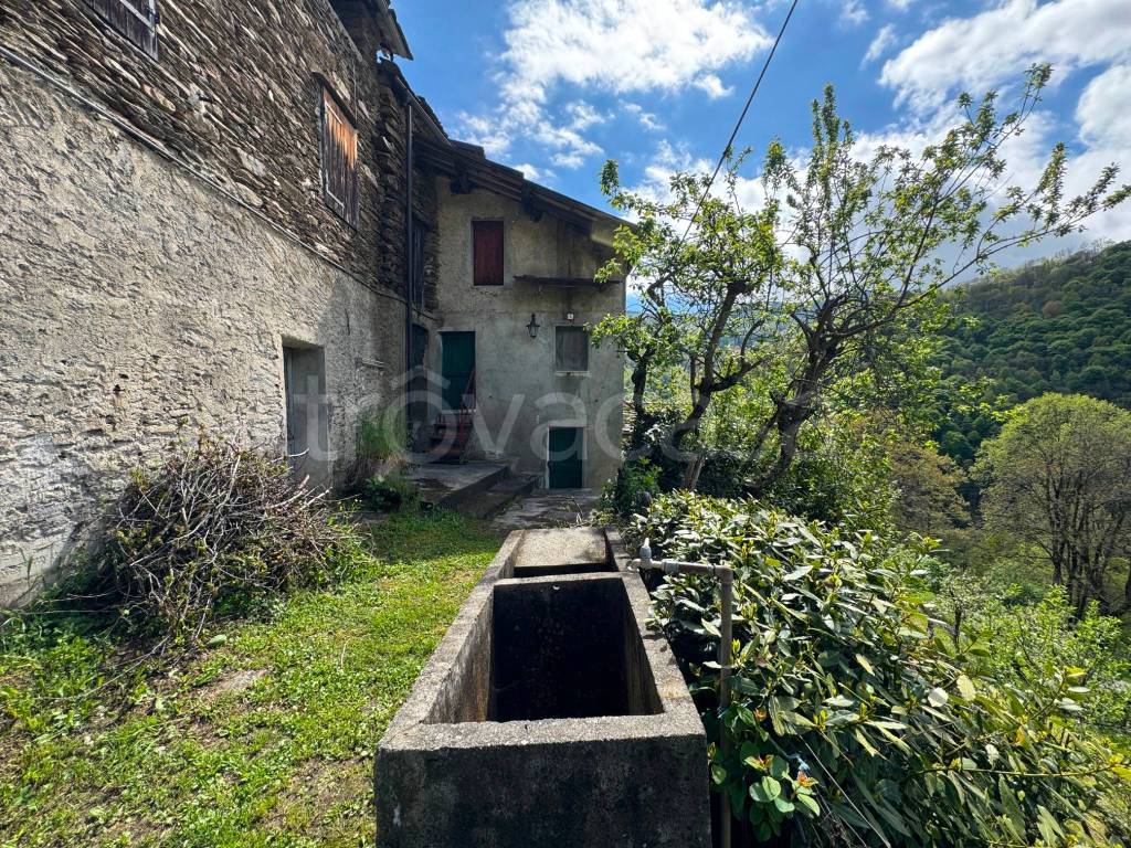 immagine annuncio 5 di 12