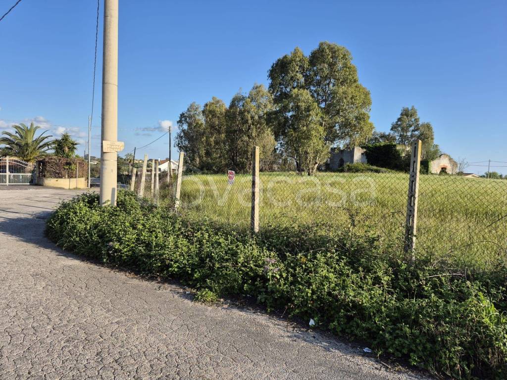 immagine annuncio 3 di 7