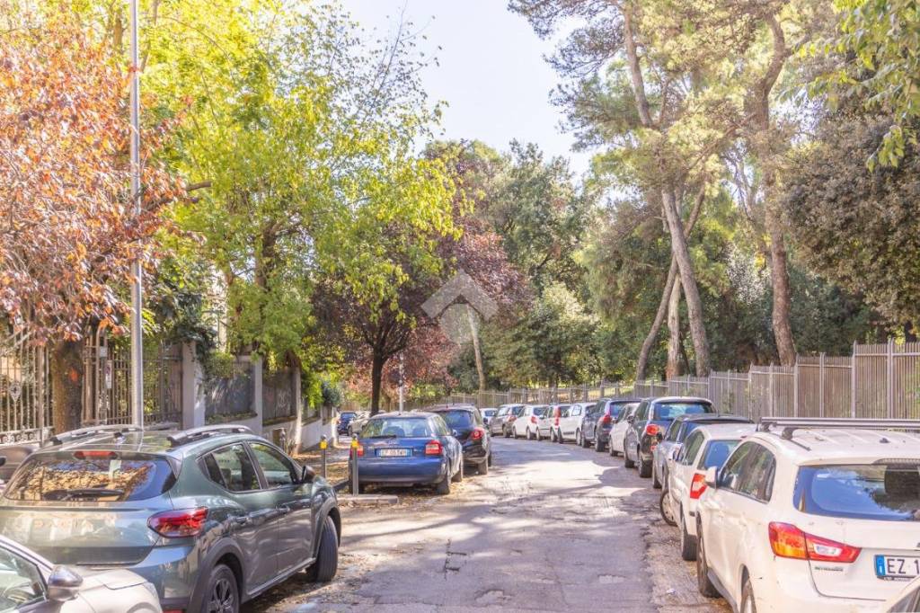 immagine annuncio 4 di 8