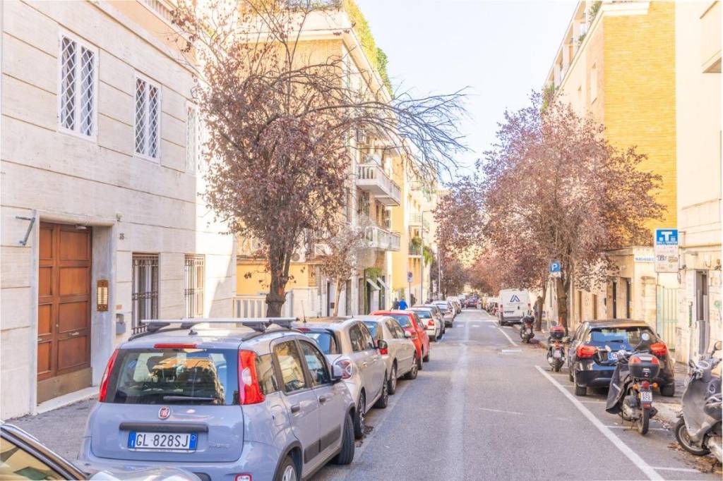 immagine annuncio 5 di 8