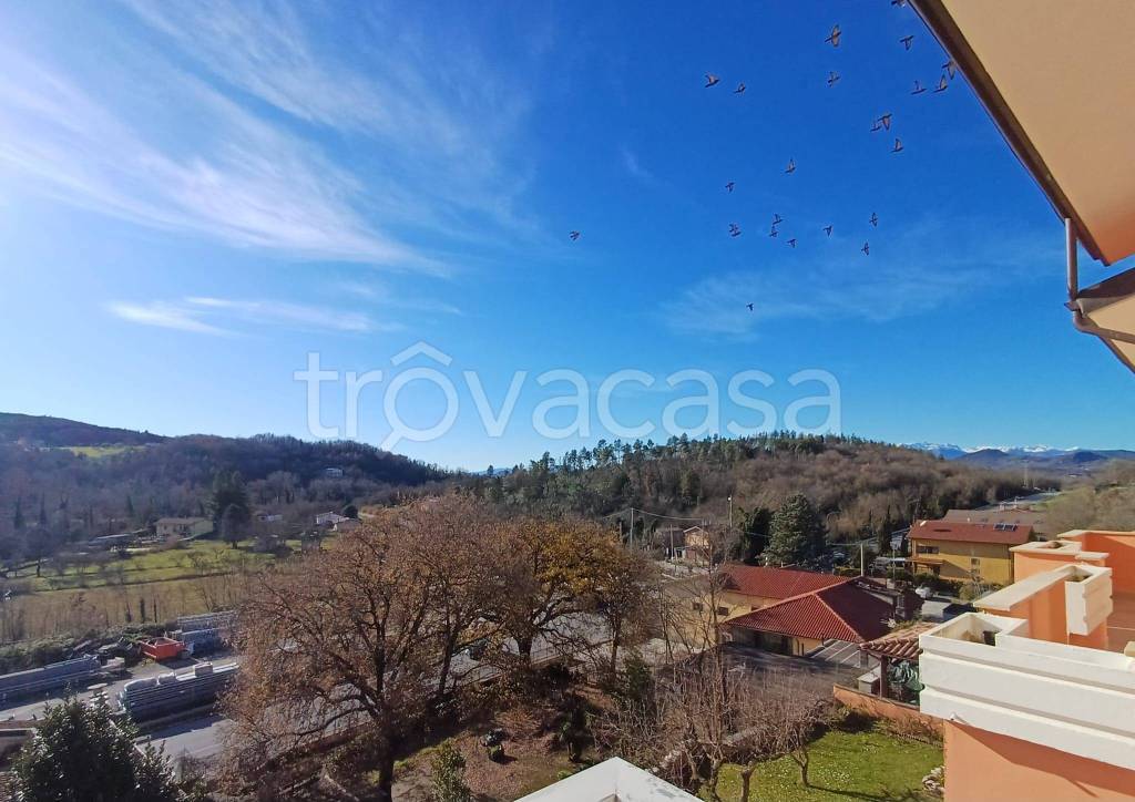 immagine annuncio 12 di 14