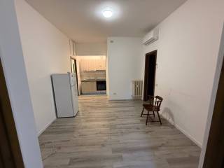 Appartamento in in affitto da privato a roma via gualtiero serafino, 8