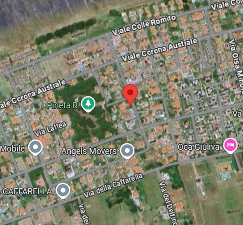 immagine annuncio 3 di 12