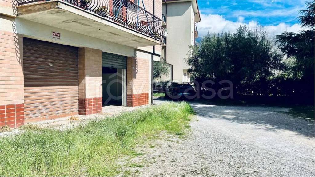 immagine annuncio 3 di 12