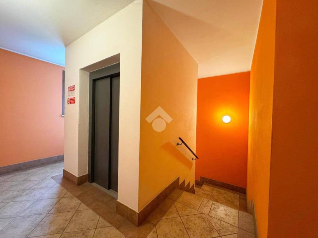 immagine annuncio 12 di 14
