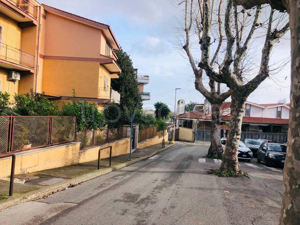 immagine annuncio 9 di 13
