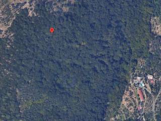 Terreno agricolo in vendita a bogliasco località poggio favaro