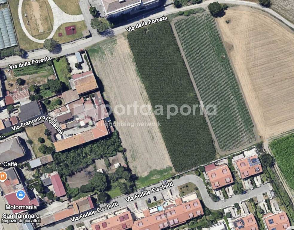 immagine annuncio 1 di 2