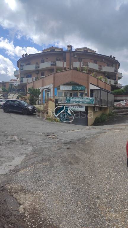immagine annuncio 1 di 6