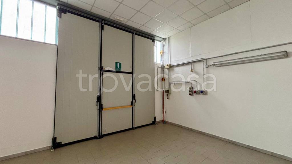 immagine annuncio 2 di 8