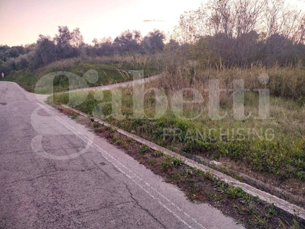 immagine annuncio 8 di 10