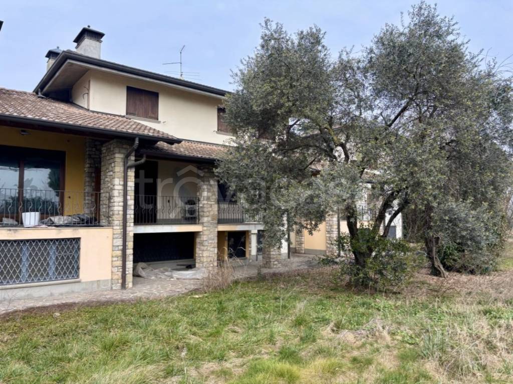 immagine annuncio 4 di 8