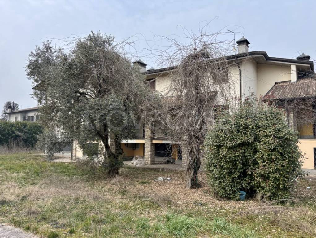 immagine annuncio 5 di 8