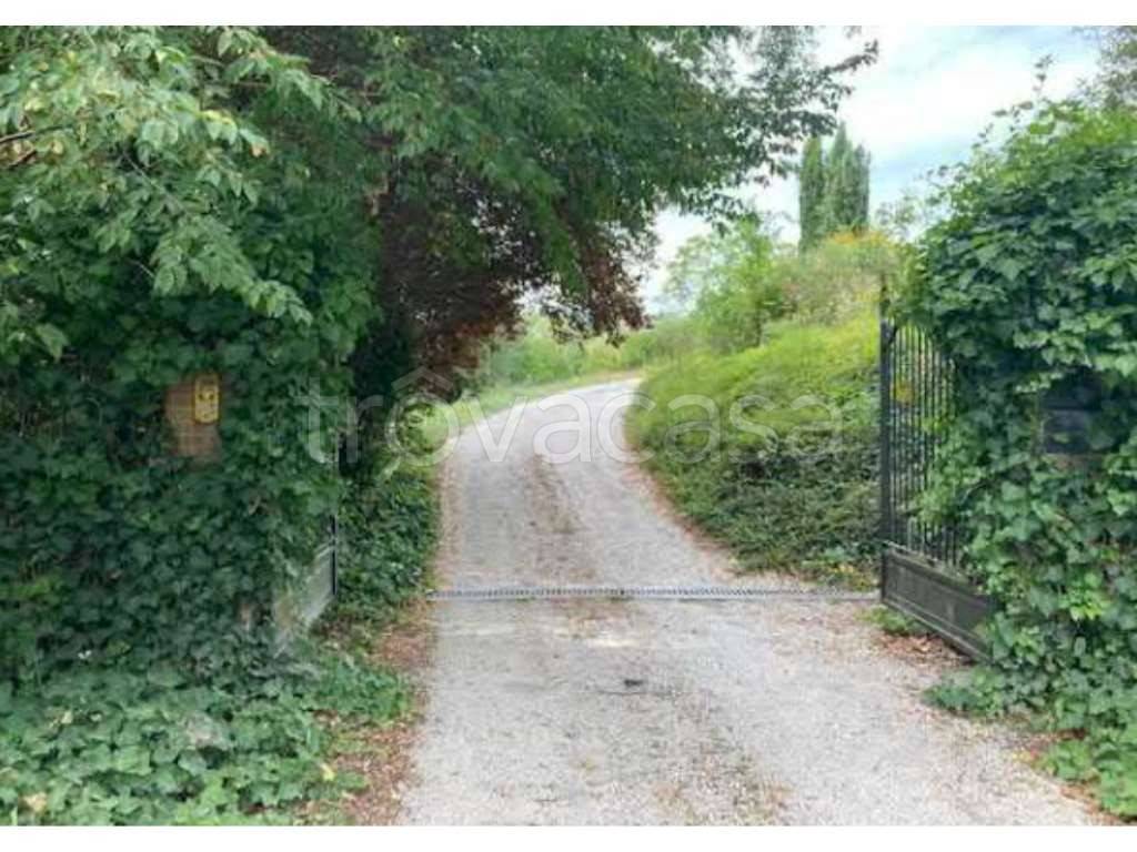 immagine annuncio 8 di 14