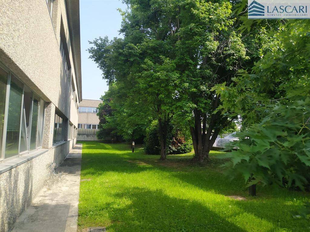 immagine annuncio 1 di 10