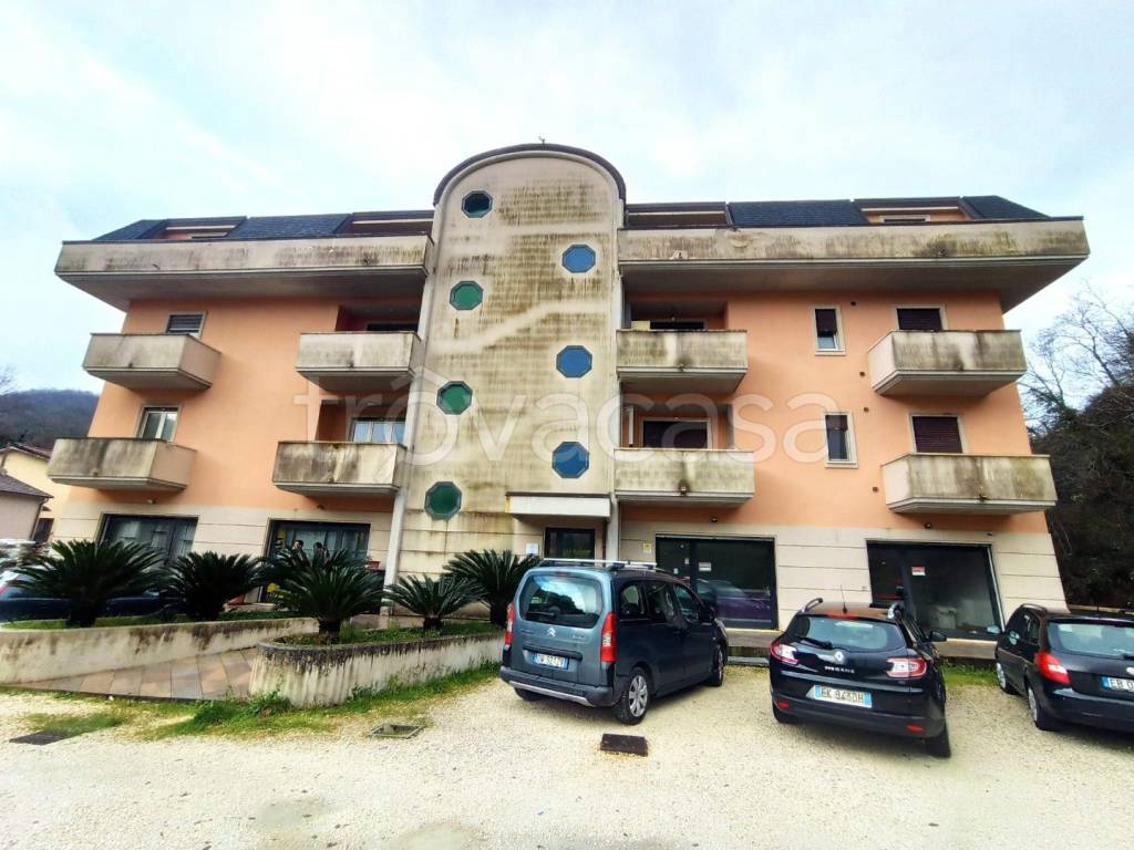 immagine annuncio 6 di 12
