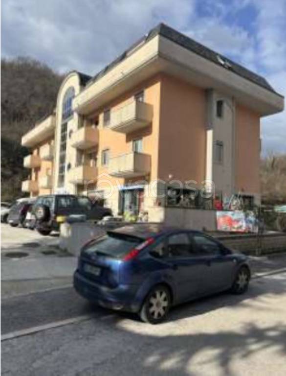 immagine annuncio 9 di 12