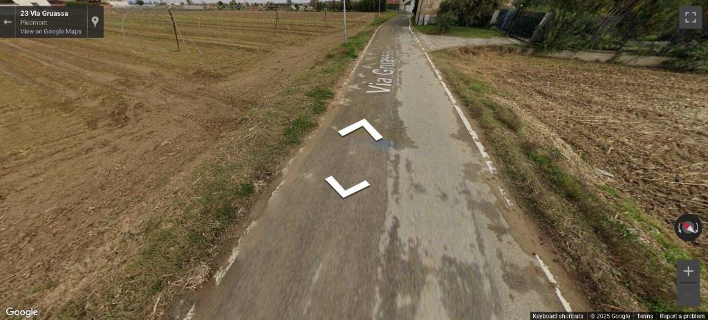 immagine annuncio 3 di 14