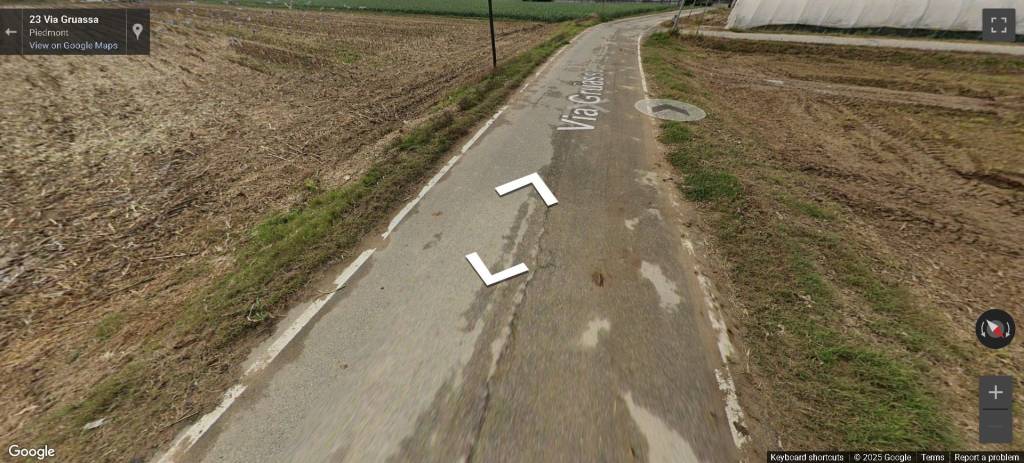 immagine annuncio 12 di 14