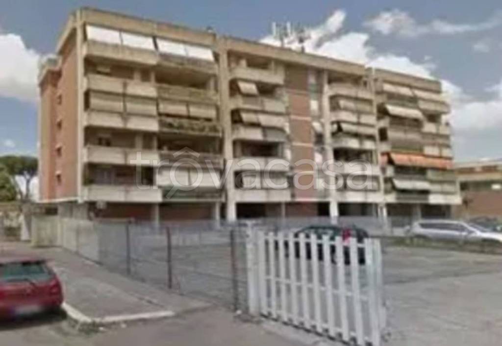 immagine annuncio 1 di 14