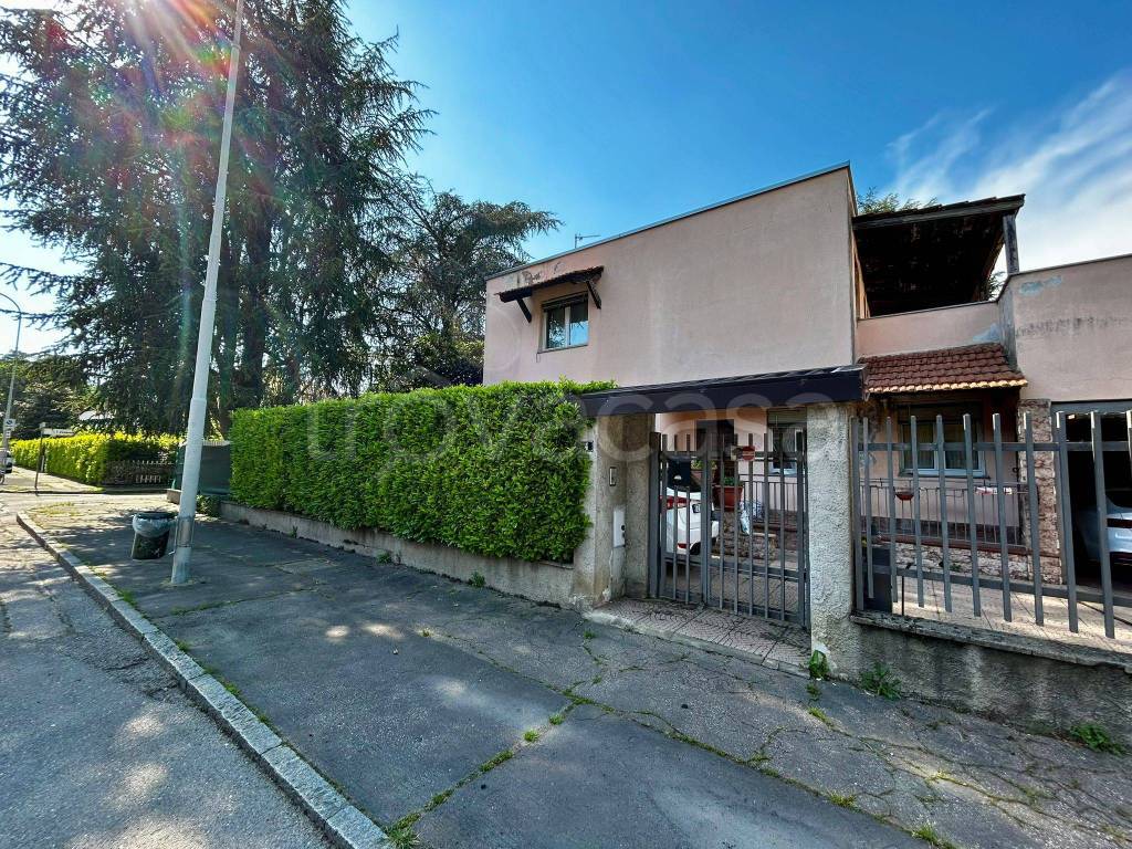 immagine annuncio 1 di 15