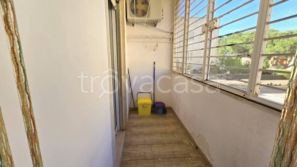 immagine annuncio 9 di 12