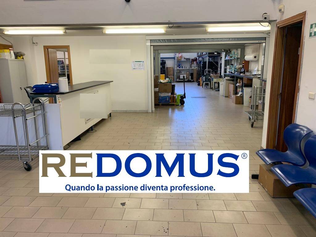 immagine annuncio 1 di 14