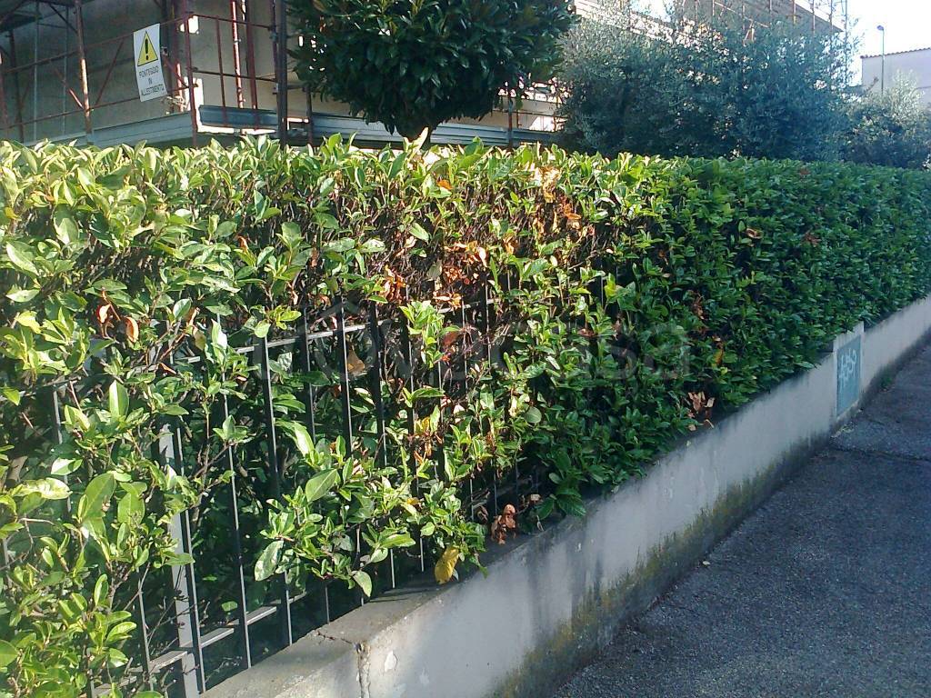 immagine annuncio 6 di 9