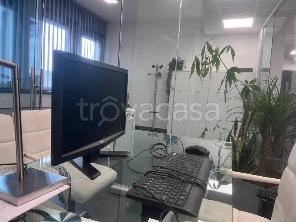 immagine annuncio 3 di 7