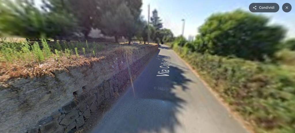 immagine annuncio 5 di 14