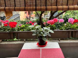 Appartamento in vendita a bologna via andrea de cioni del verrocchio