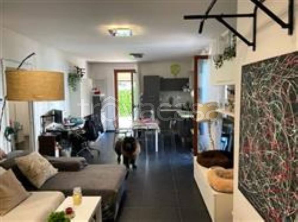 immagine annuncio 3 di 12