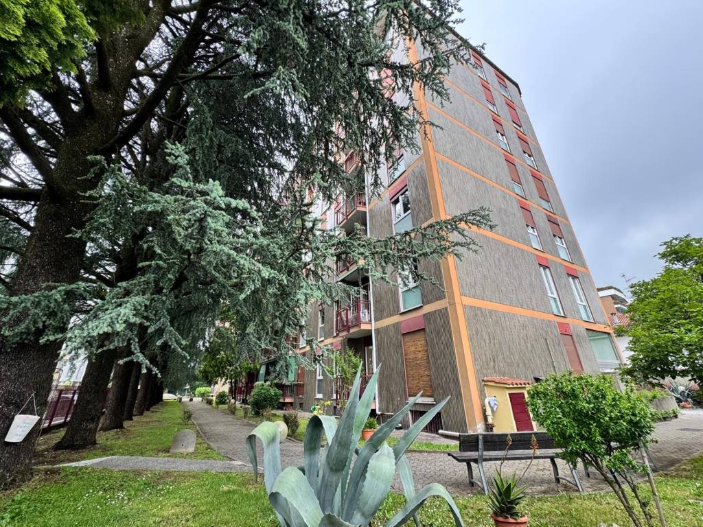 immagine annuncio 9 di 11