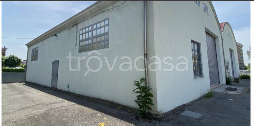 immagine annuncio 7 di 13