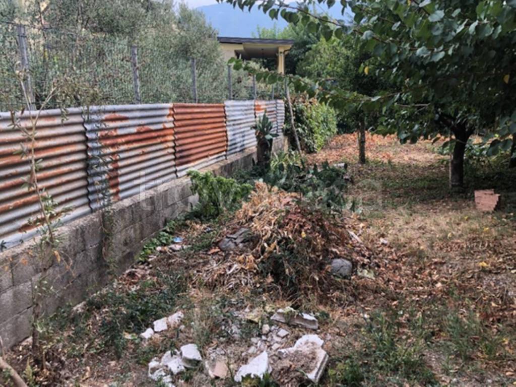 immagine annuncio 3 di 11