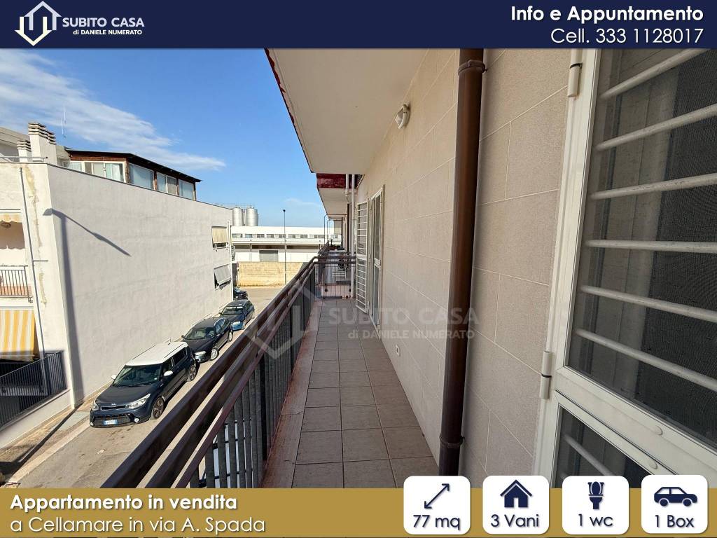 immagine annuncio 9 di 15