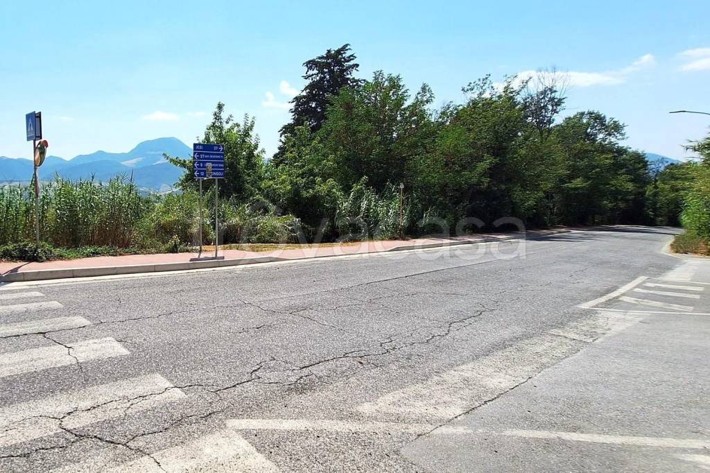 immagine annuncio 0 di 15