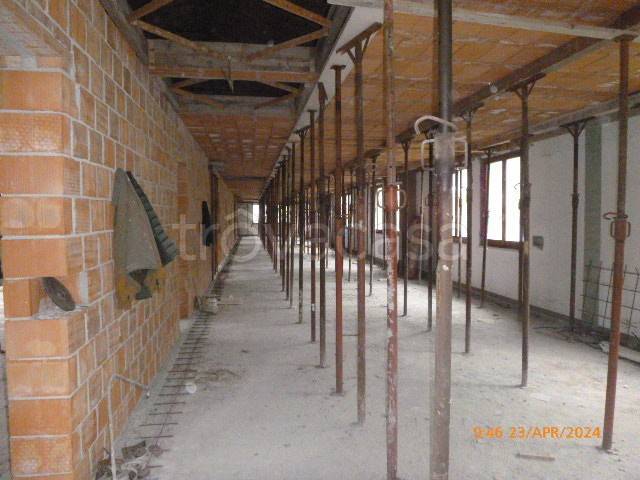 immagine annuncio 6 di 14