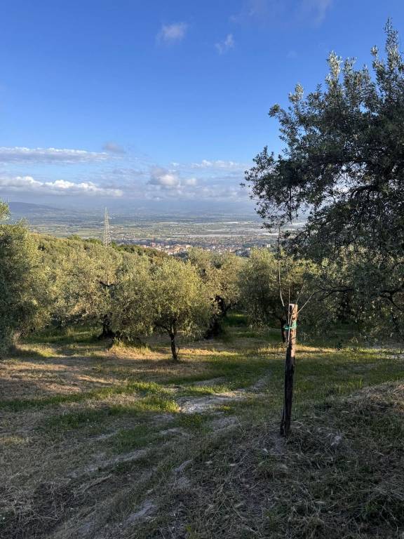immagine annuncio 3 di 8